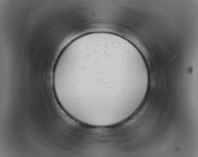 X0000101441388200808041204