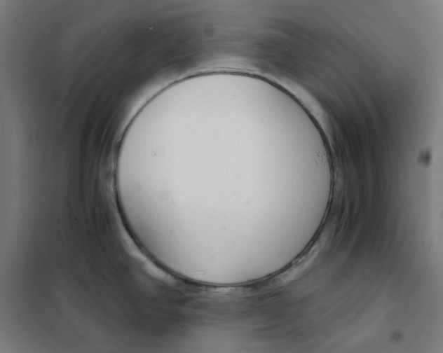 X0000101441390200808041204