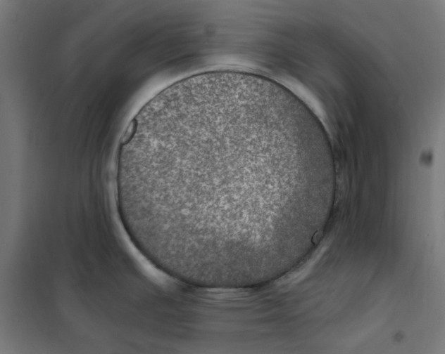 X0000101441391200808041204