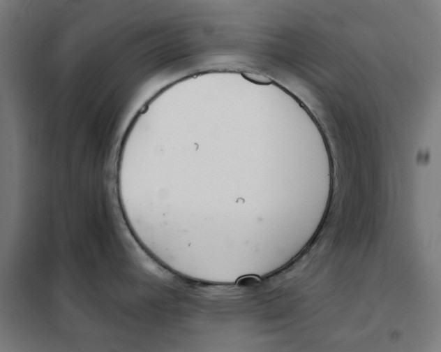 X0000101441392200808041204