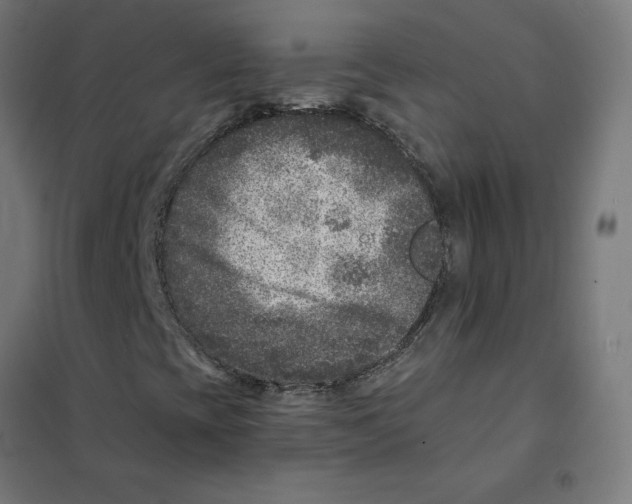 X0000101441393200808041204