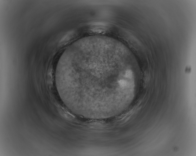 X0000101441394200808041204