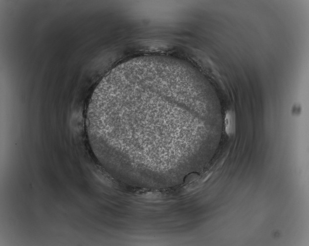 X0000101441395200808041204