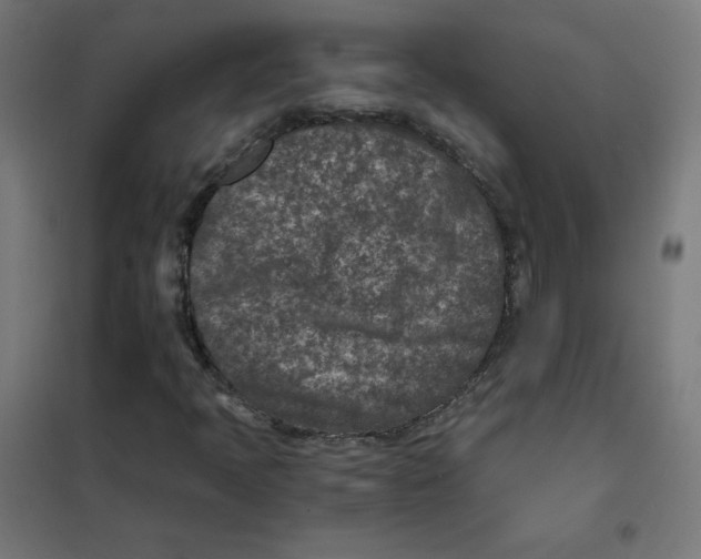 X0000101441397200808041204