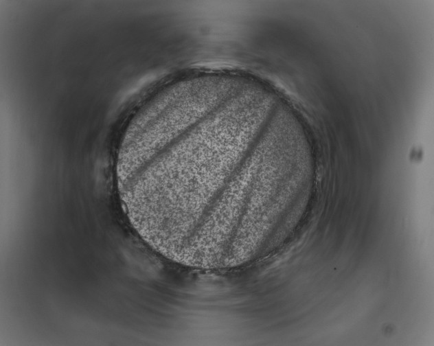 X0000101441398200808041204