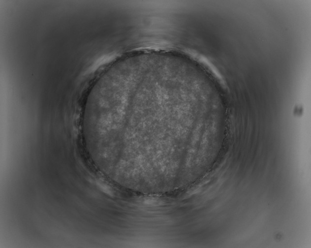 X0000101441399200808041204