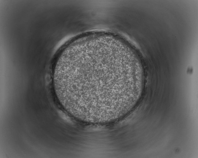 X0000101441400200808041204