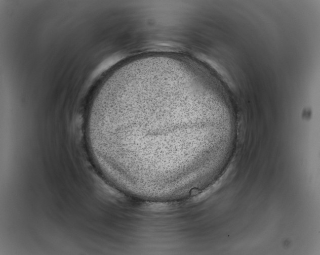 X0000101441402200808041204