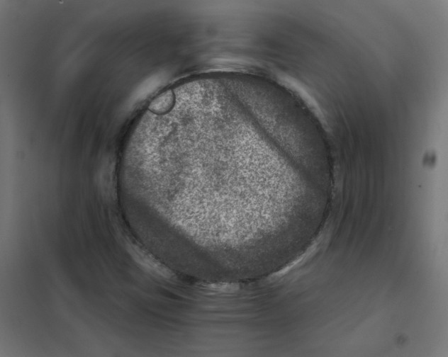 X0000101441403200808041204