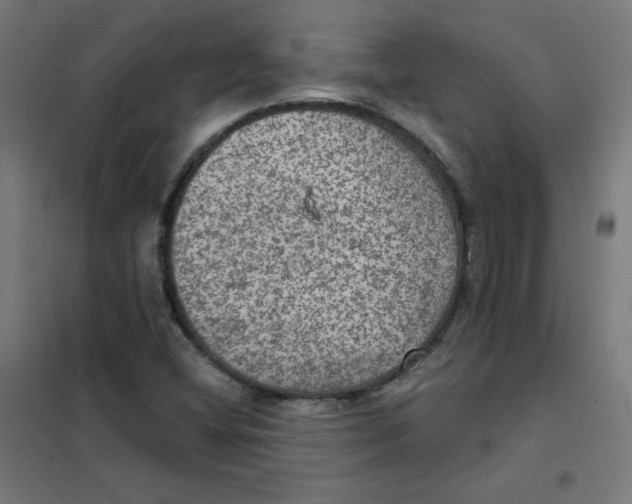 X0000101441404200808041204