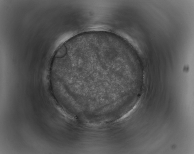 X0000101441405200808041204