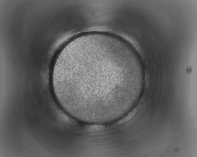 X0000101441406200808041204