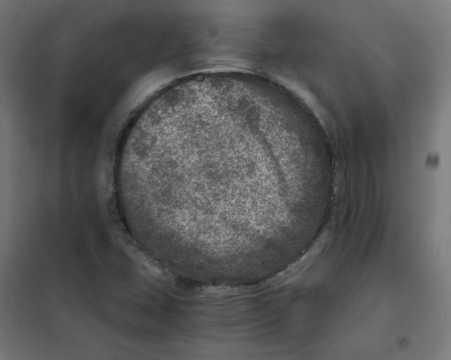 X0000101441407200808041204