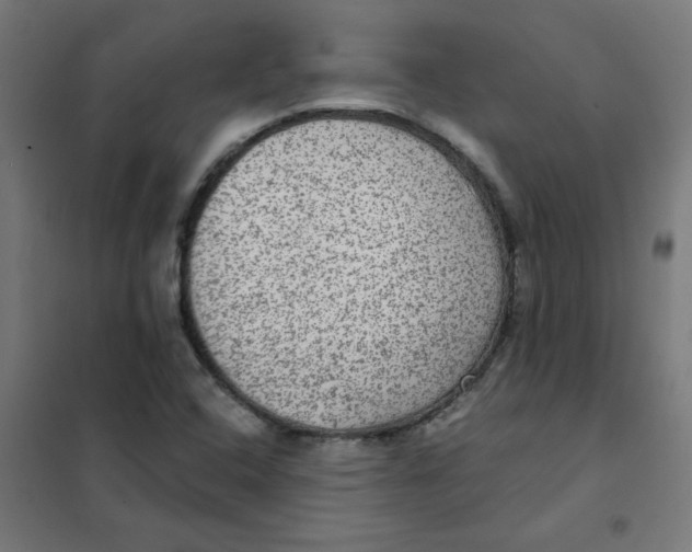 X0000101441408200808041204