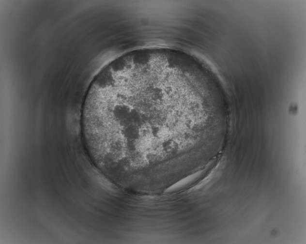 X0000101441409200808041204