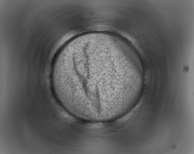 X0000101441410200808041204