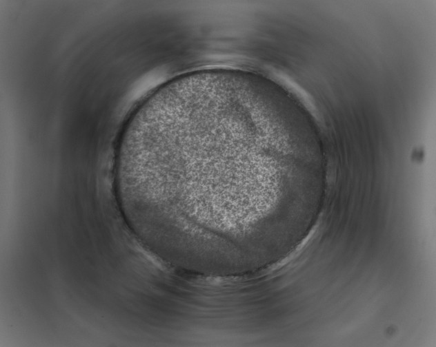 X0000101441411200808041204