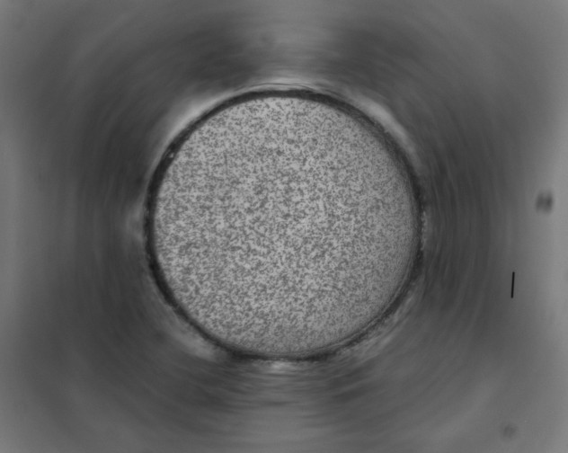 X0000101441412200808041204