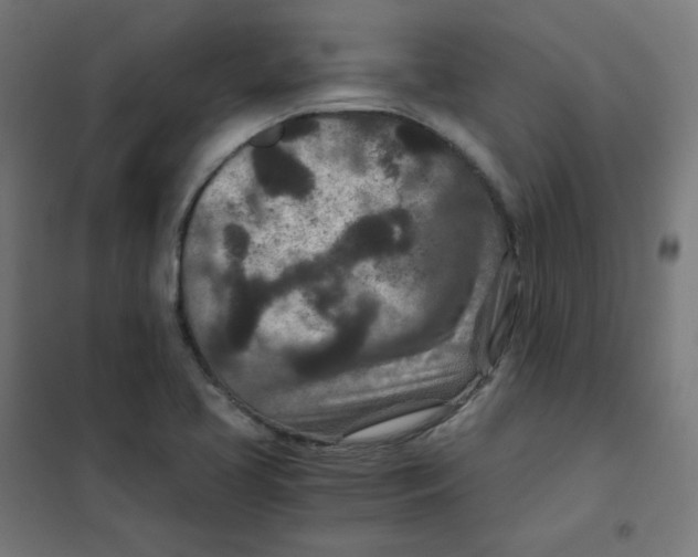 X0000101441413200808041204