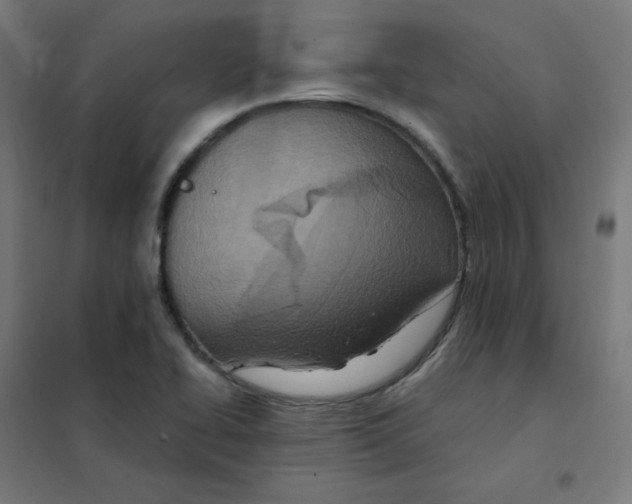 X0000101441414200808041204