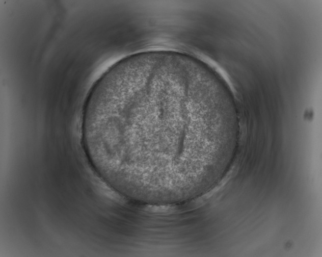 X0000101441415200808041204