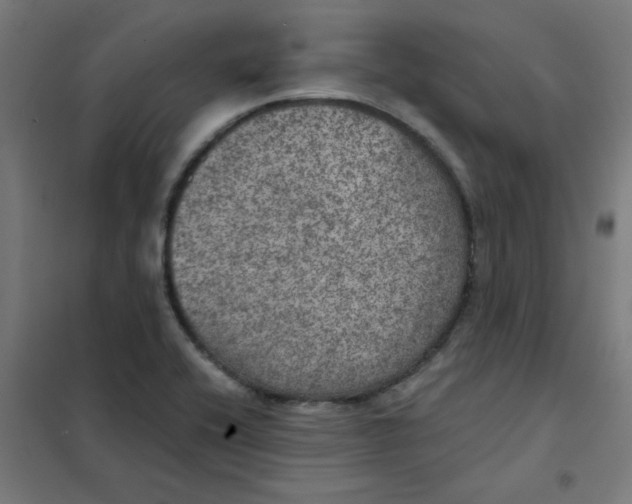 X0000101441416200808041204