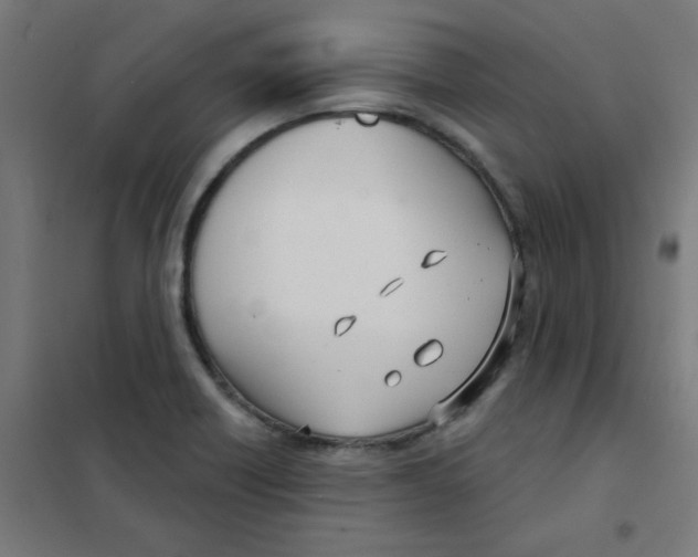 X0000101441418200808041204