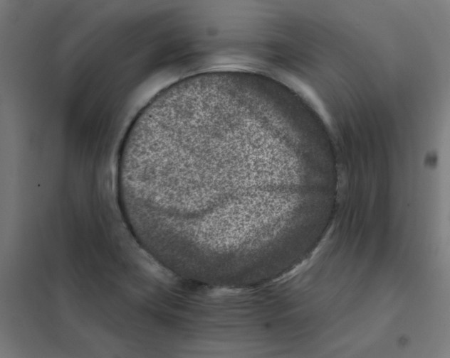 X0000101441419200808041204