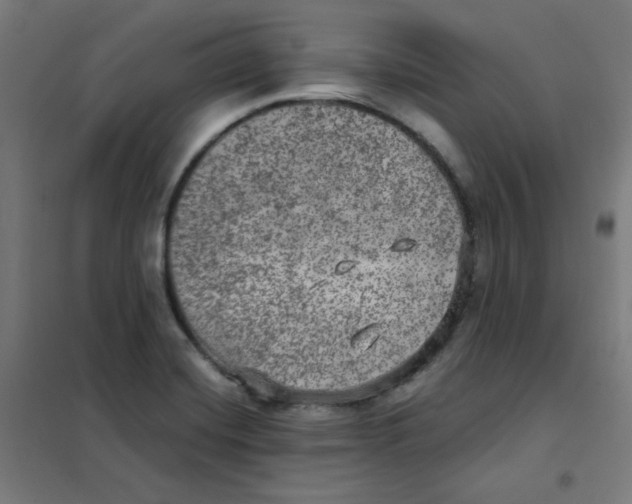 X0000101441420200808041204