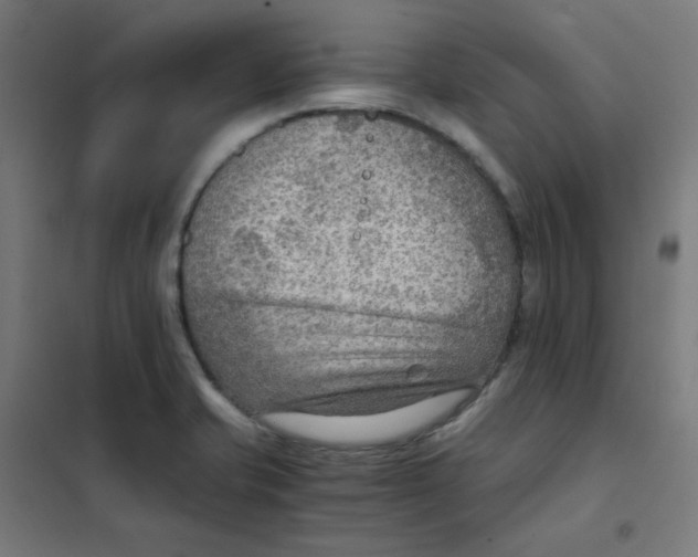 X0000101441421200808041204