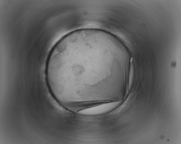 X0000101441422200808041204