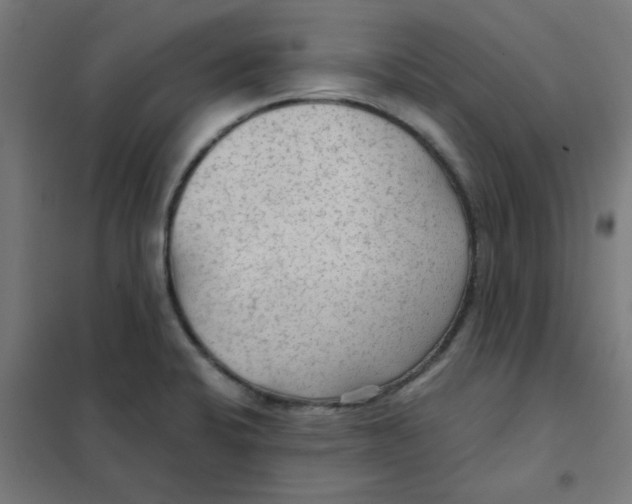 X0000101441424200808041204