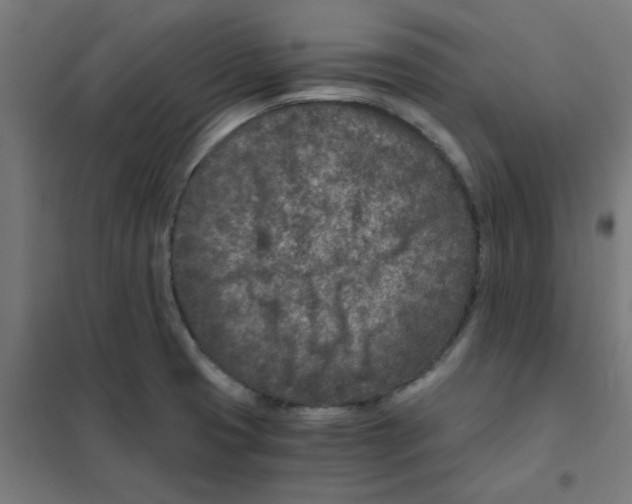 X0000101441425200808041204