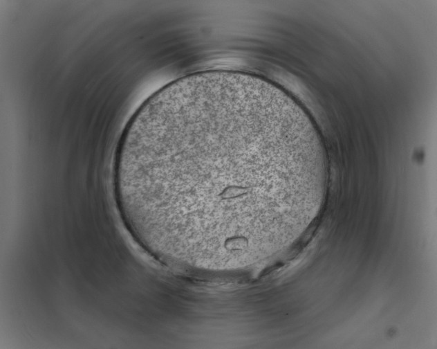 X0000101441426200808041204