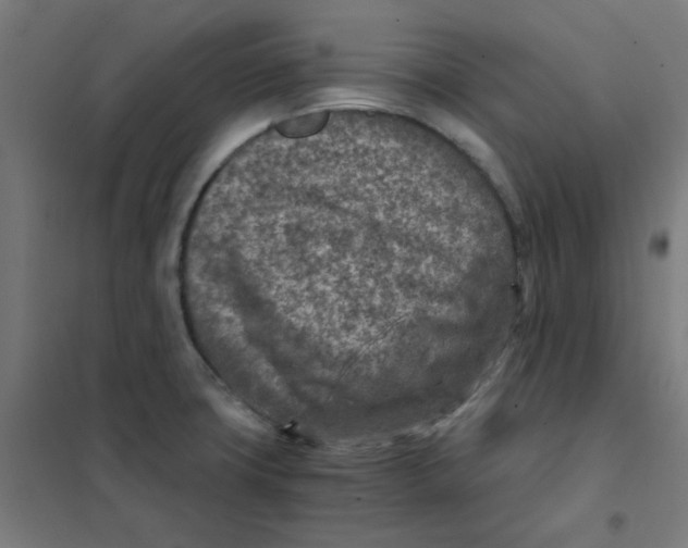 X0000101441427200808041204