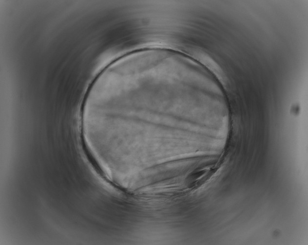 X0000101441428200808041204