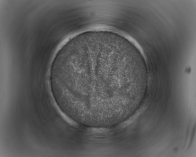 X0000101441429200808041204