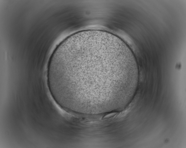 X0000101441430200808041204