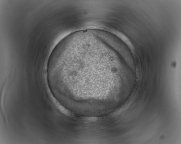 X0000101441431200808041204