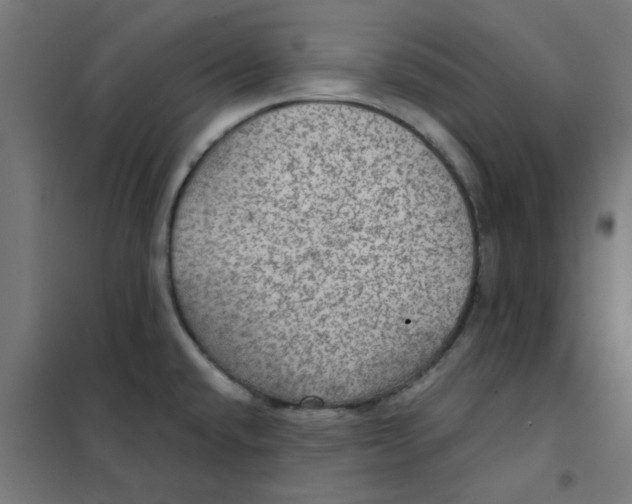 X0000101441432200808041204