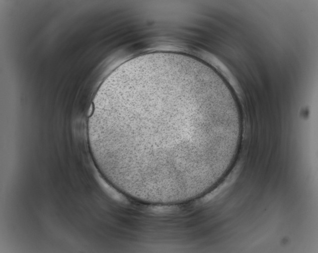 X0000101441433200808041204