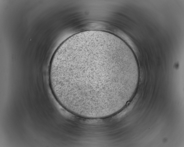 X0000101441434200808041204