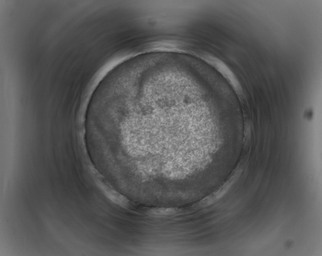 X0000101441435200808041204