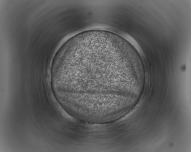 X0000101441436200808041204