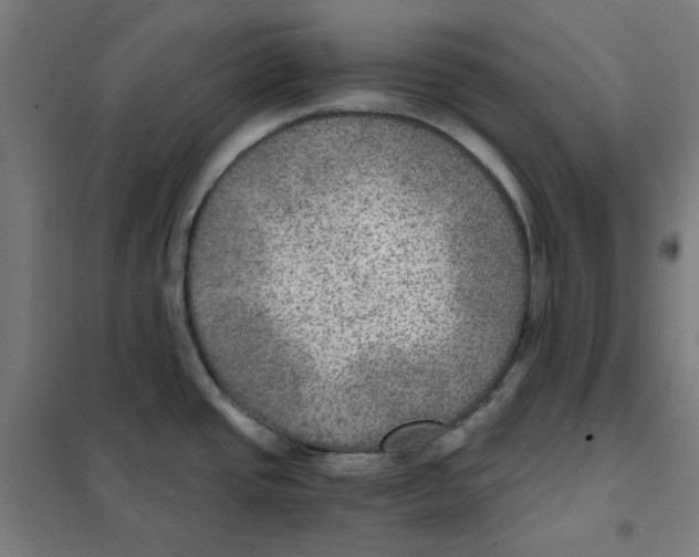 X0000101441437200808041204