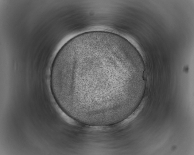 X0000101441438200808041204