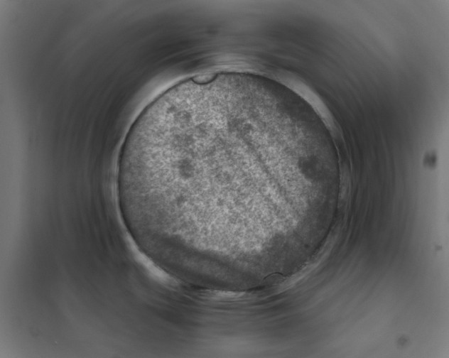 X0000101441439200808041204