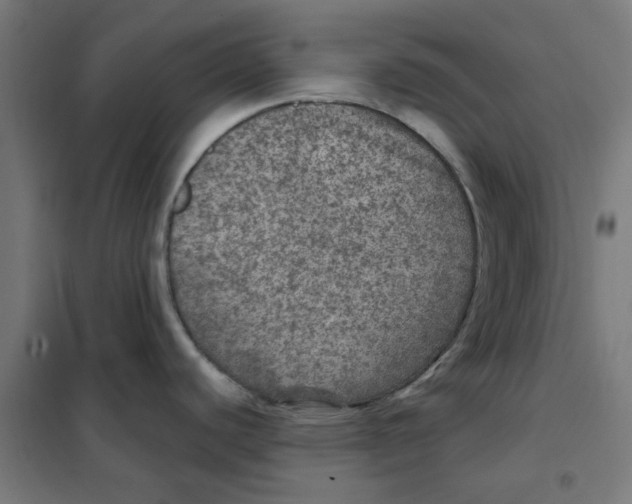 X0000101441440200808041204