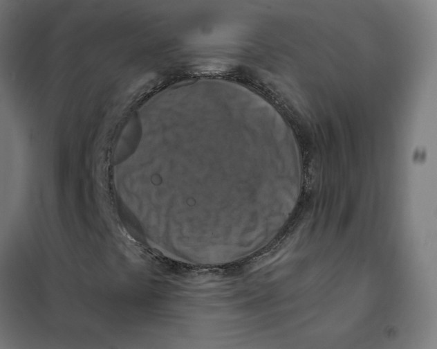 X0000101441441200808041204