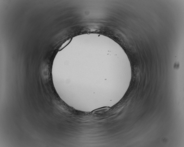 X0000101441442200808041204